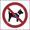 P021   /No dogs