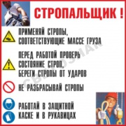  17-8 -   , 10001220 