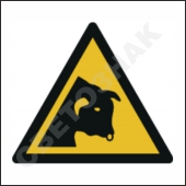 W034 .  ()/Warning; Bull