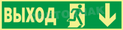   "   "  