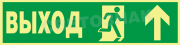   "   "  