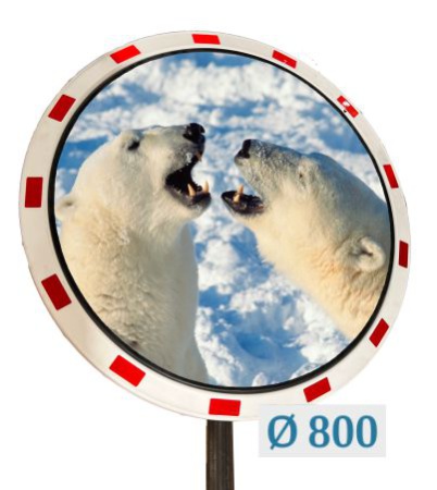       ., Ø 800 